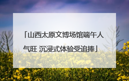 山西太原文博场馆端午人气旺 沉浸式体验受追捧